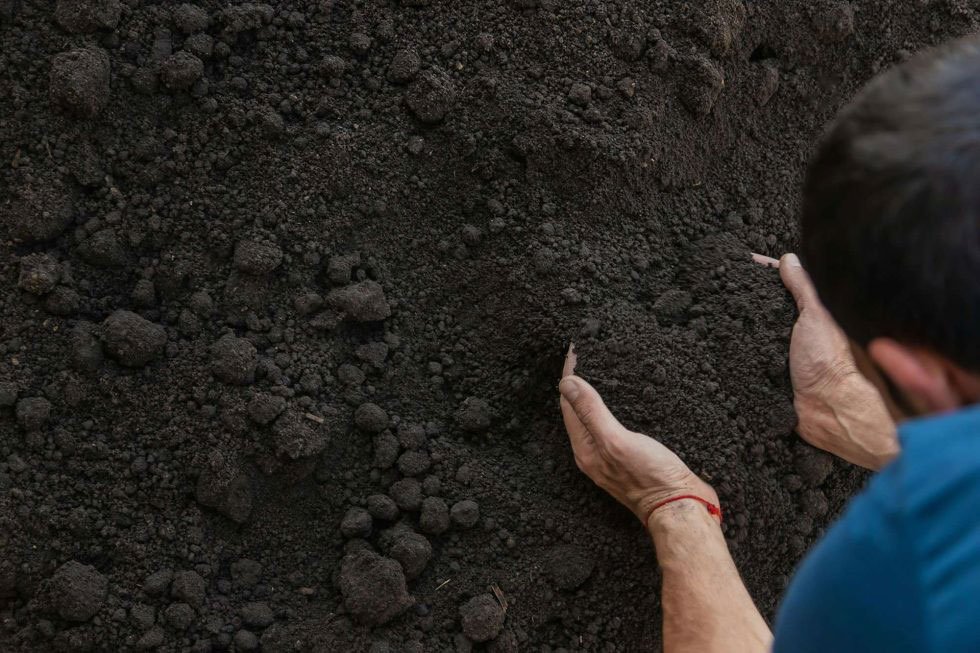 Elegir tierra y sustrato para jardín y huerto en mallorca